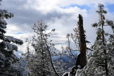 DSC_0772 (Large).JPG